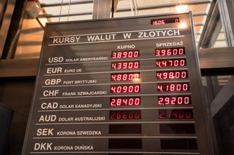 Kursy walut. Rynek enklawą racjonalności