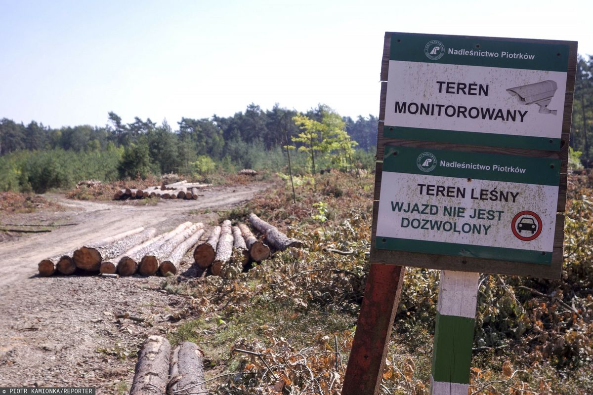 Jak ujawnił resort klimatu, przez ponad 6 lat miało miejsce ponad 2 tys. transakcji nieruchomości Lasów Państwowych