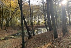 Pogoda. Wrocław. 29 września - chłodniej, ale bez deszczu. W weekend powiew ciepła