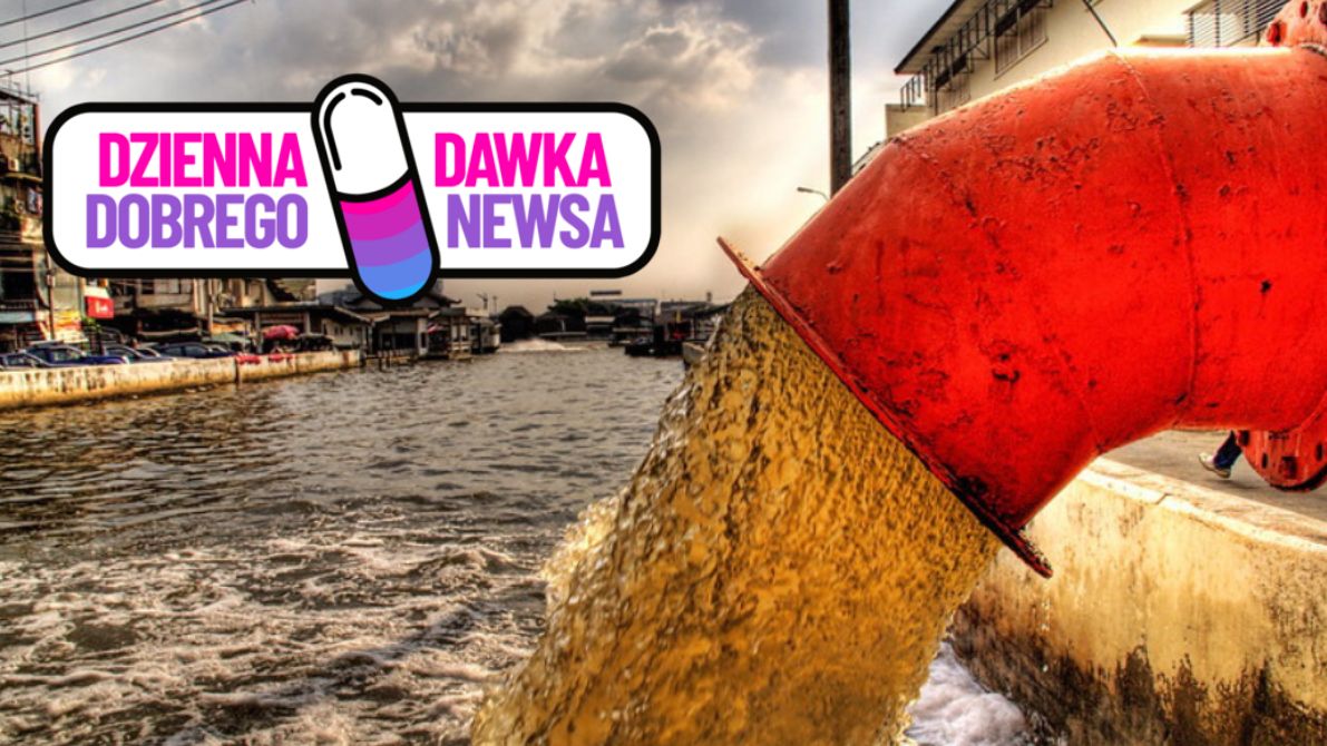 Kora sosnowa pomoże w skutecznym oczyszczaniu ścieków