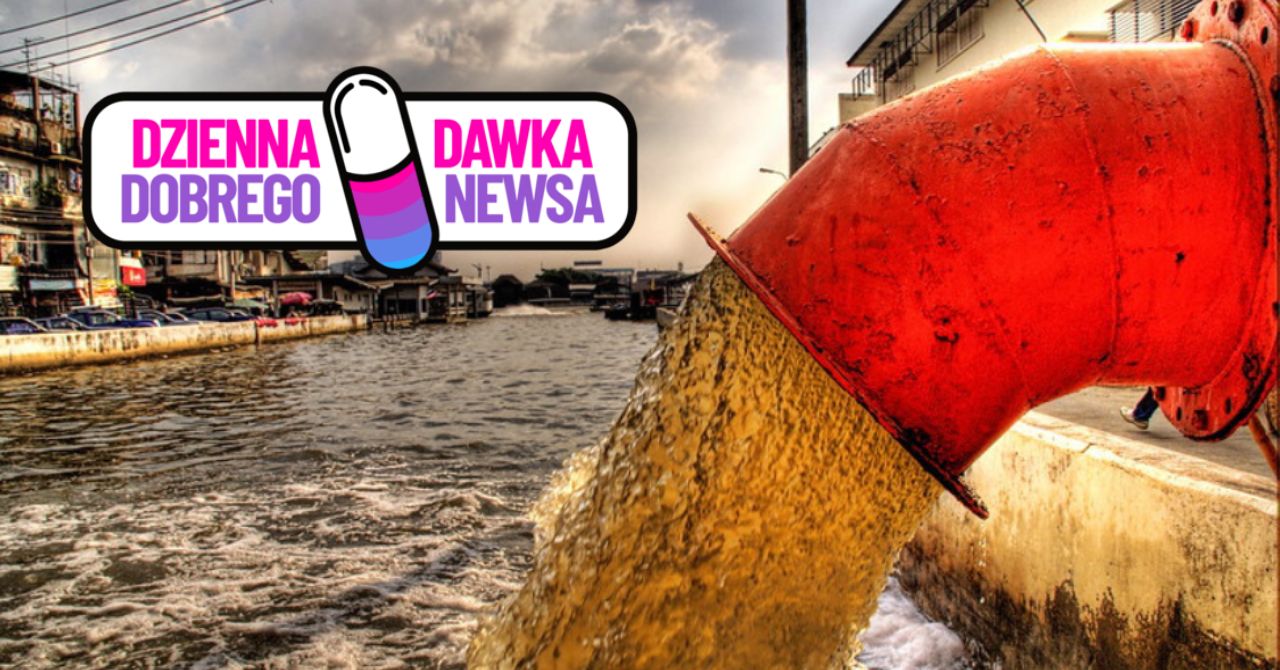 Odkrycie w Finlandii. Pomaga w usuwaniu leków ze ścieków