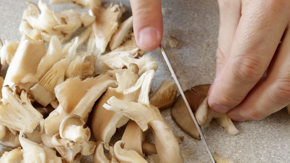 To najzdrowsze grzyby. Rosną w naszych lasach.