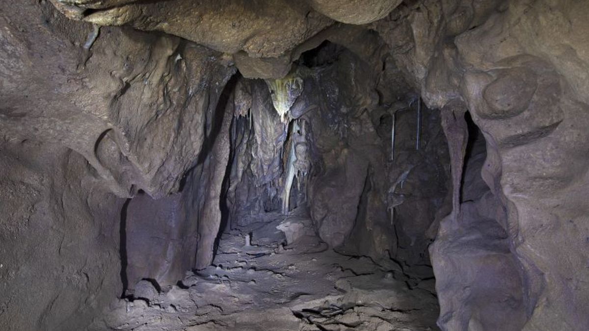 Niesamowite odkrycie na Gibraltarze