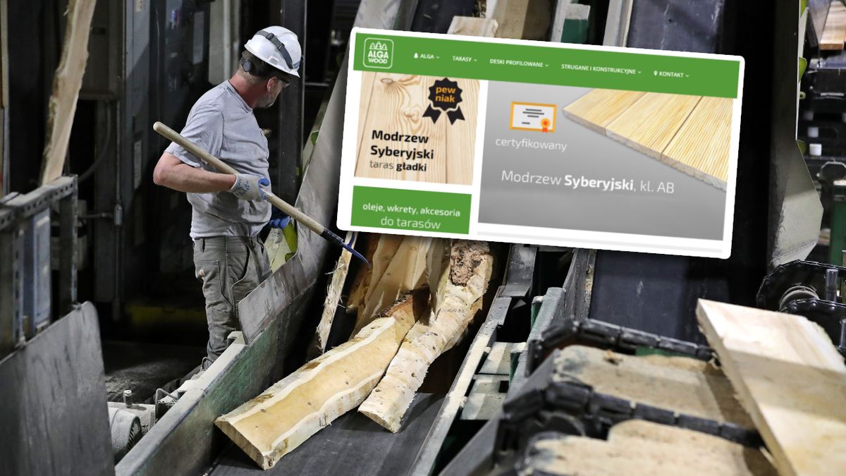 Rosyjskie drewno obecne na polskim rynku
