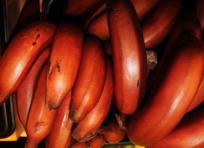 Czerwone banany mają niesamowite właściwości