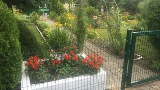 Lublin: Działkowcy dostaną pieniądze na swoje ogrody. W puli ćwierć miliona