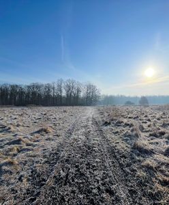 Zacznie się po weekendzie. Nawet 15 stopni
