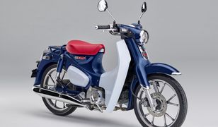 Honda Super Cub C125 – cena, informacje, dane techniczne