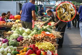 Polacy płacą nawet 99 zł za kilogram. Koniecznie posadź w ogrodzie