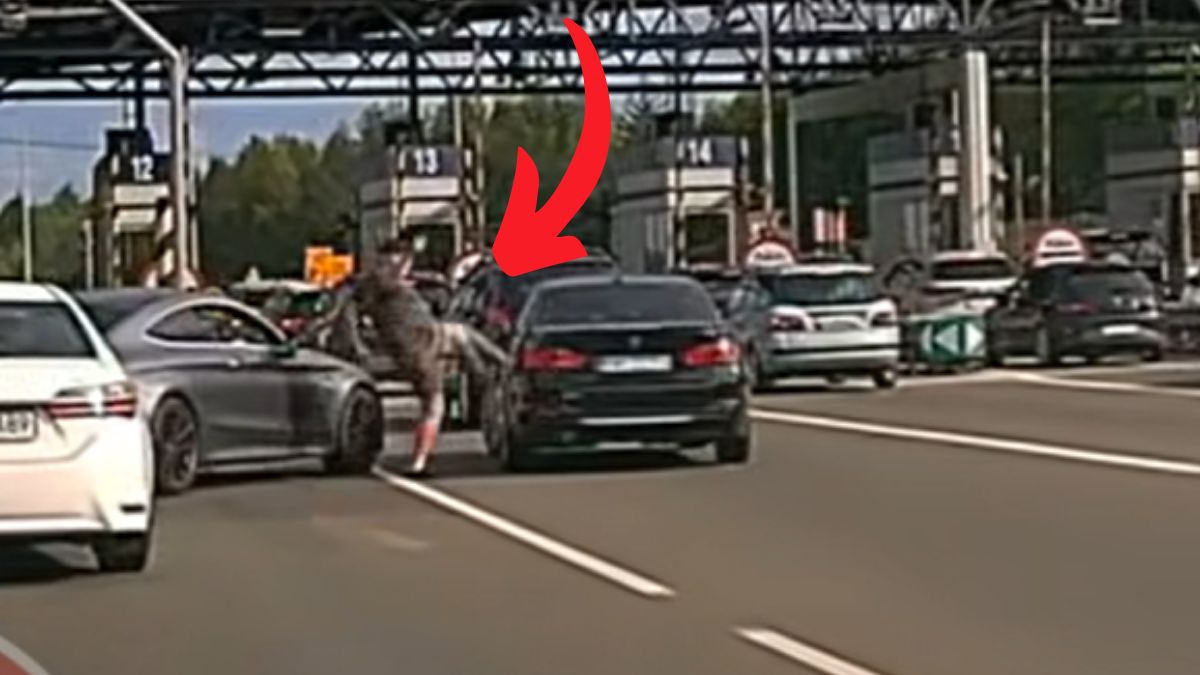 37-letni mężczyzna blokował ruch na autostradzie A4