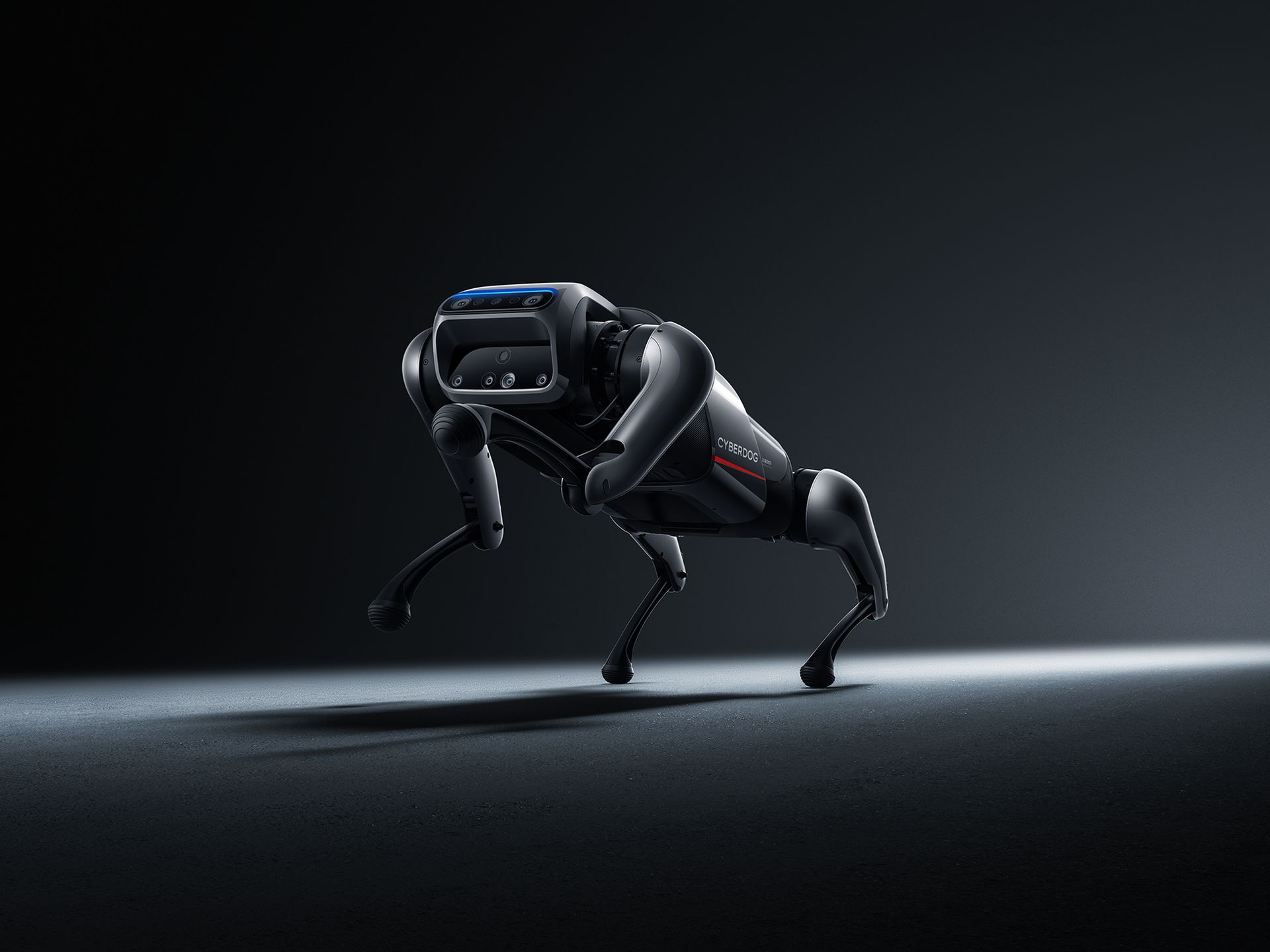 Xiaomi CyberDog to nowy pupil firmy. Kosztuje mniej niż budżetowa samoróbka 4