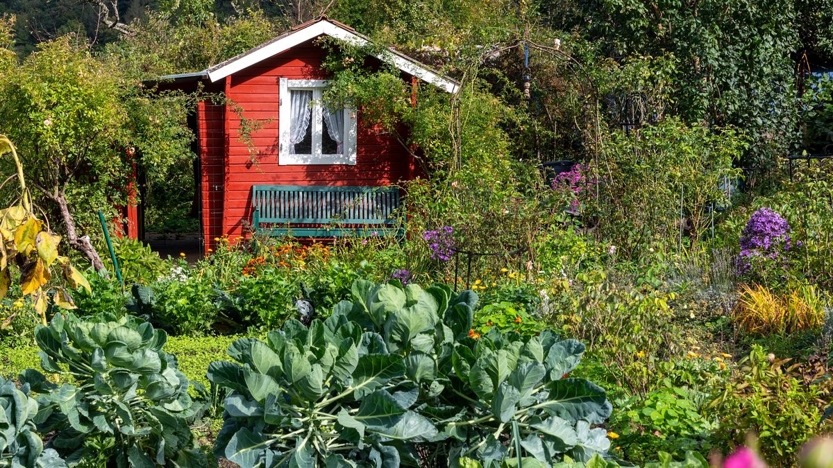 Miliony dla działkowców