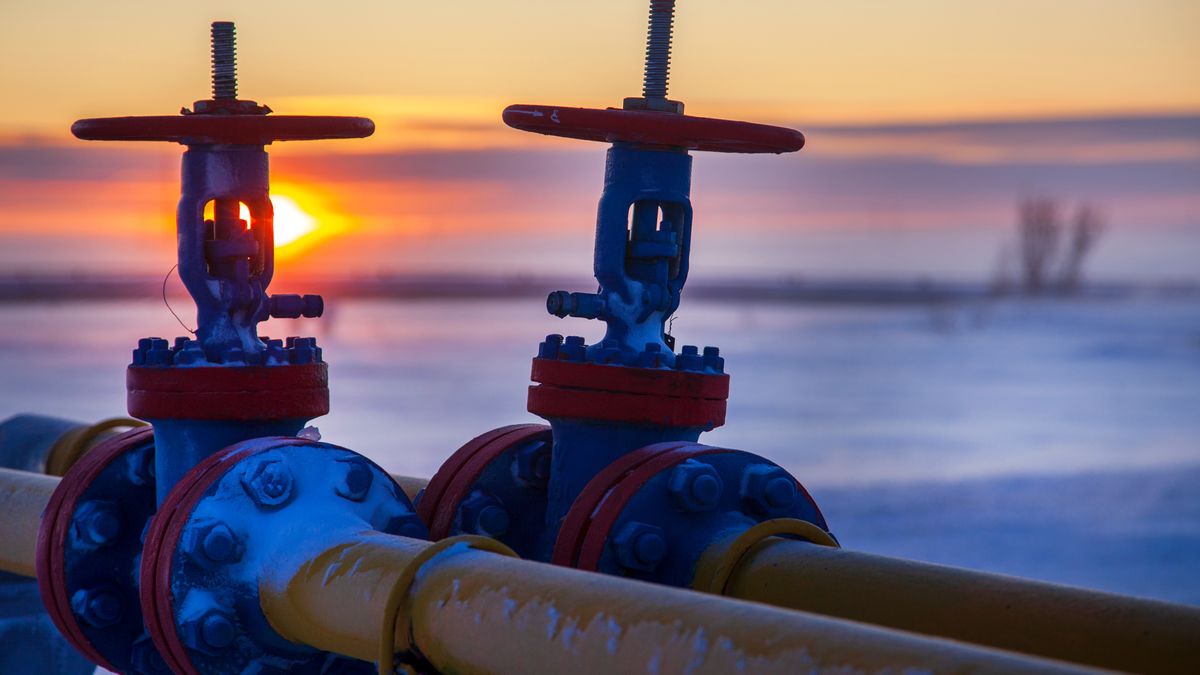 Niemiecki minister skomentował uzależnienie RFN od rosyjskiego gazu 