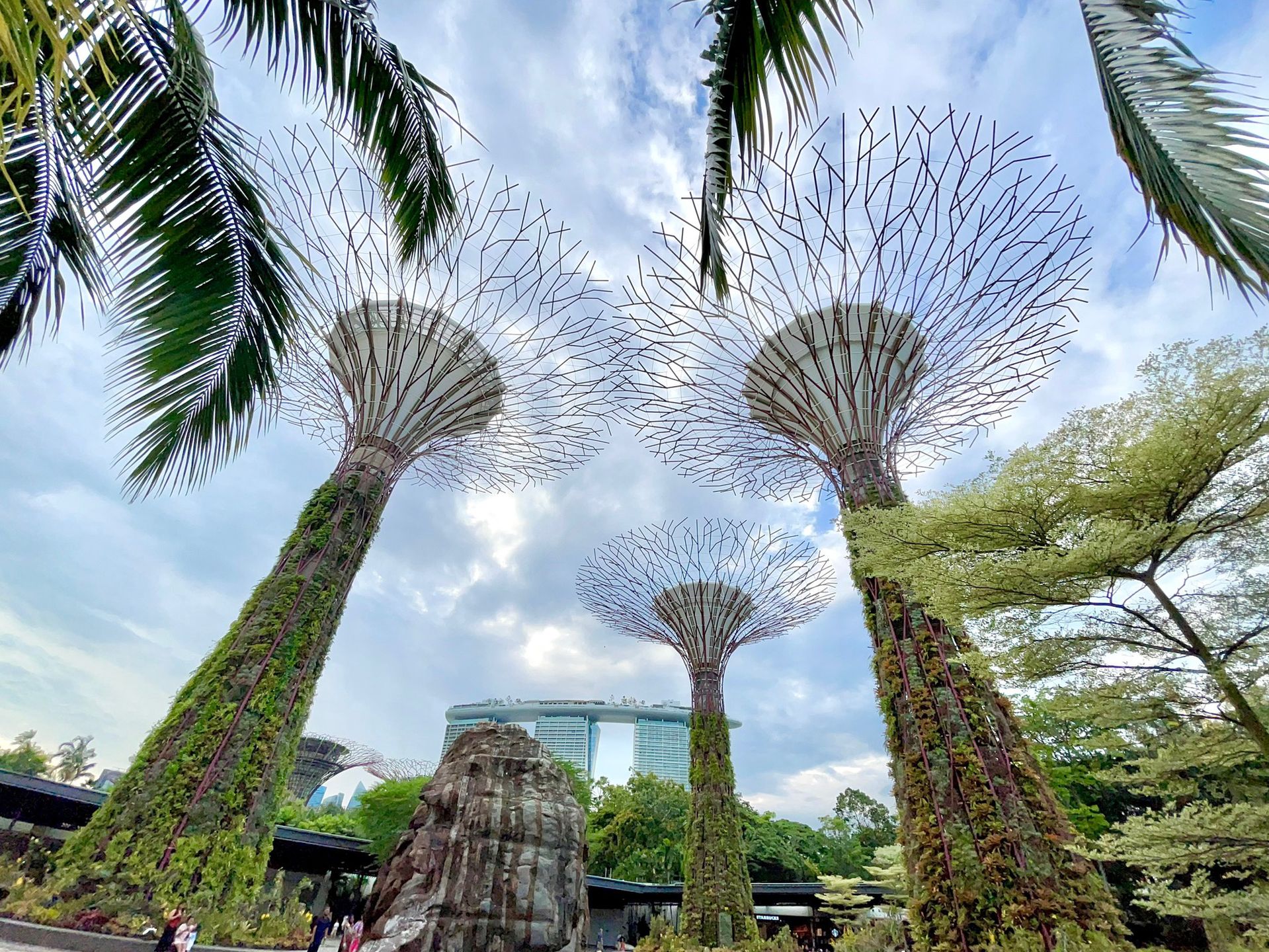 Sztuczne drzewa w Gardens by the Bay