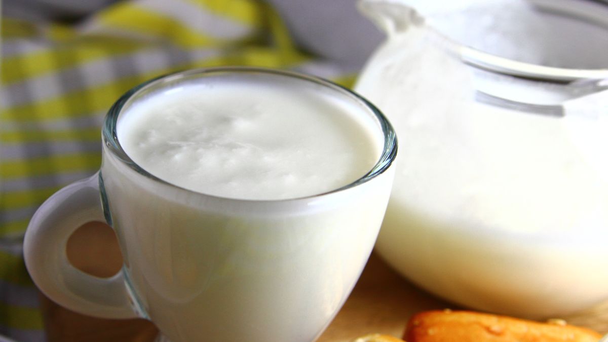 Czym się różni kefir od jogurtu czy maślanki?