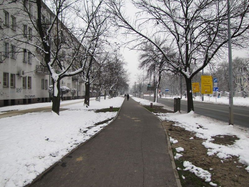 Podgrzewane drogi dla rowerów w Warszawie!