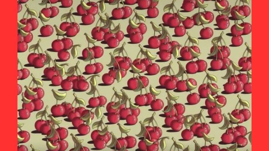 Tylko 5 proc. osób daje radę. Arcytrudny test na spostrzegawczość