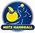 Metz Handball