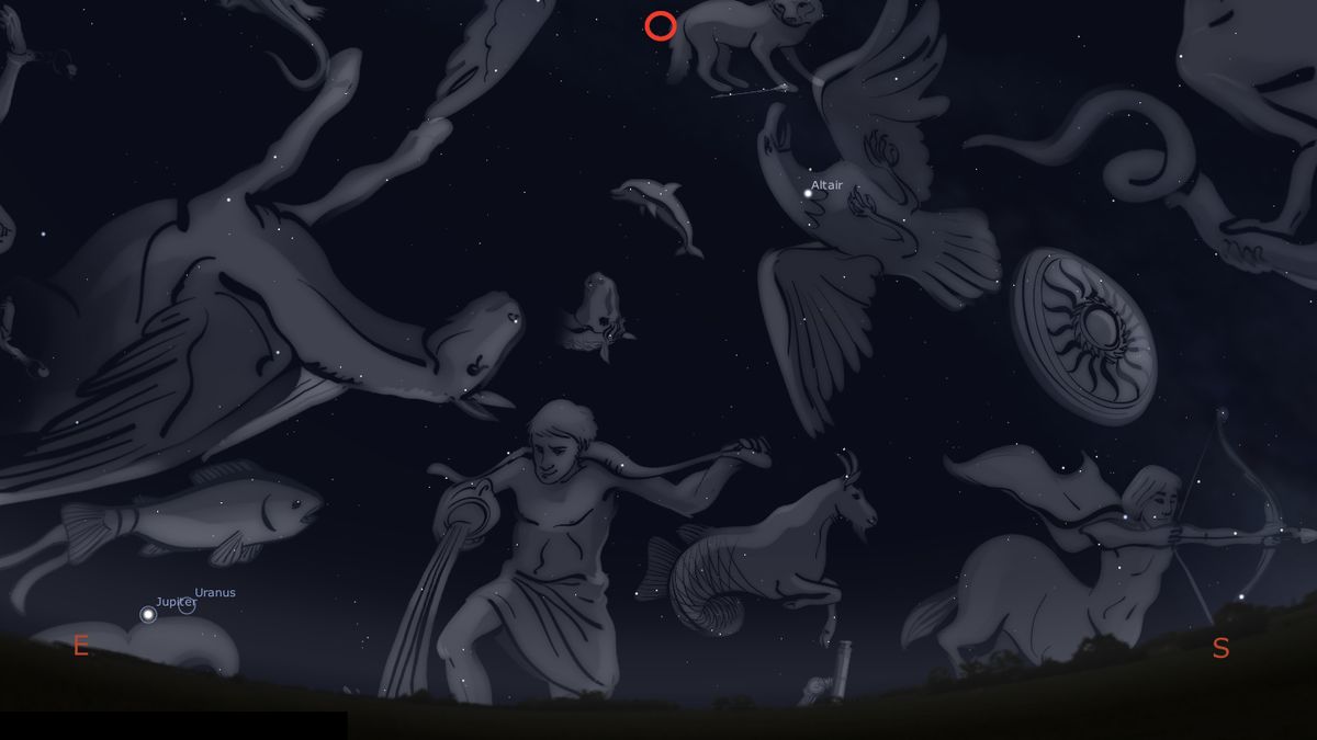 Komputerowi wolontariusze odkryli dziwny pulsar 1