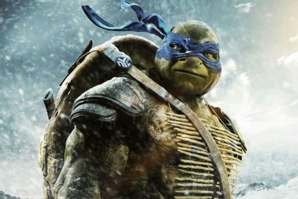 Wojownicze Żółwie Ninja w Twoim mieście