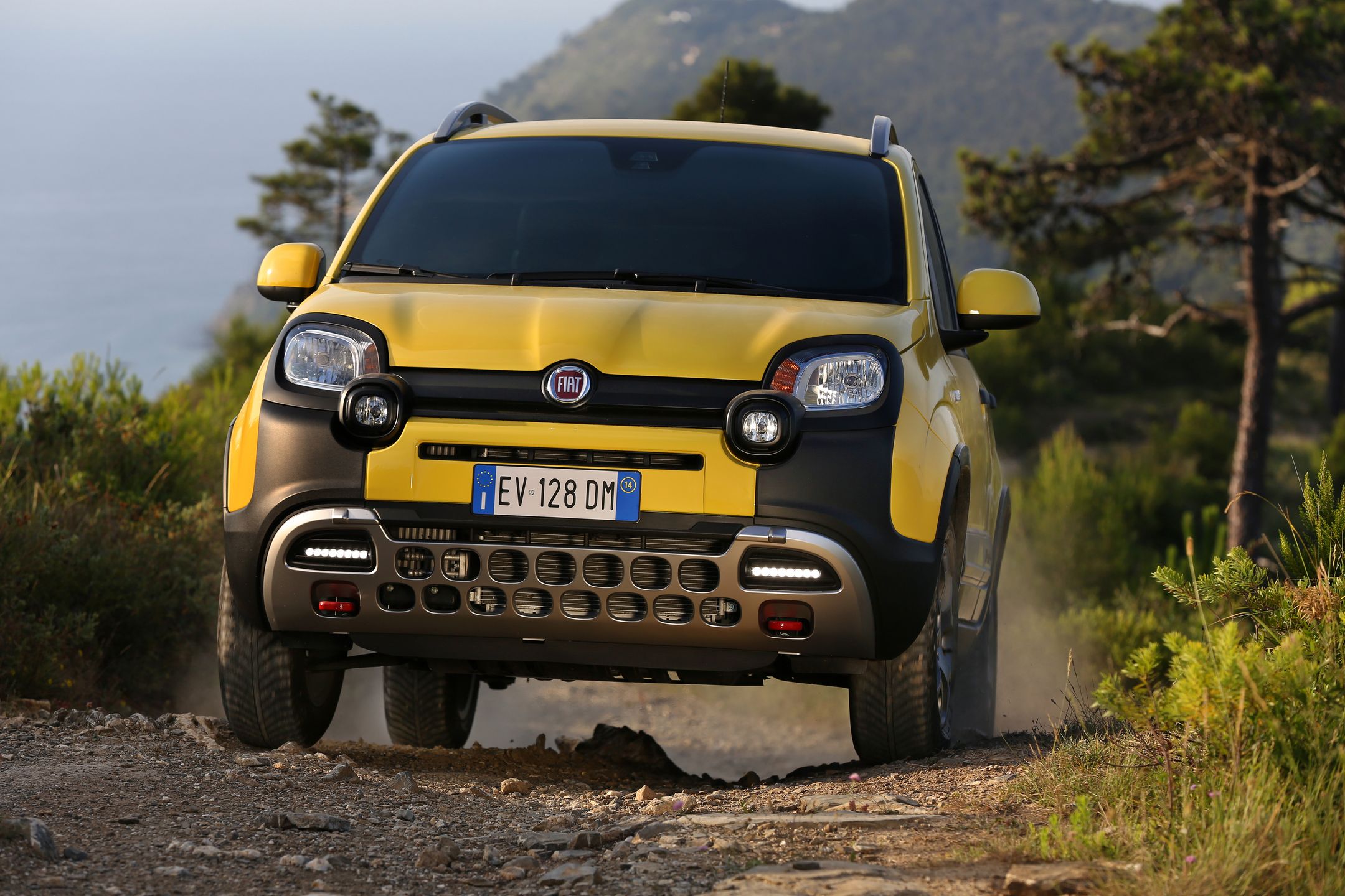 Fiat Panda 10