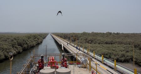 Europa szykuje się na ograniczenia. Rosyjski gaz zastąpi surowcem z Nigerii