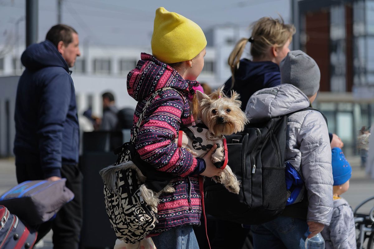 LVIV, UKRAINE - 2022/03/26: A child carrying a dog seen at Lviv Railway station. Russia invaded Ukraine on 24 February 2022, triggering the largest military attack in Europe since World War II. Up to 10 million Ukrainians have fled their homes, either leaving the country or moving to safer areas within Ukraine. Many have fled to Lviv where attacks have been few and from where trains leave regularly for Poland. (Photo by Mykola Tys/SOPA Images/LightRocket via Getty Images)