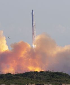 Działo się w nocy: Starship wystartował i bezpiecznie wylądował