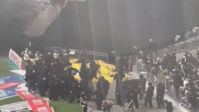 "Dziki chaos". Potężna bijatyka z policją (WIDEO)