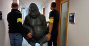 Policjanci z Płocka odzyskali skradzionego goryla!