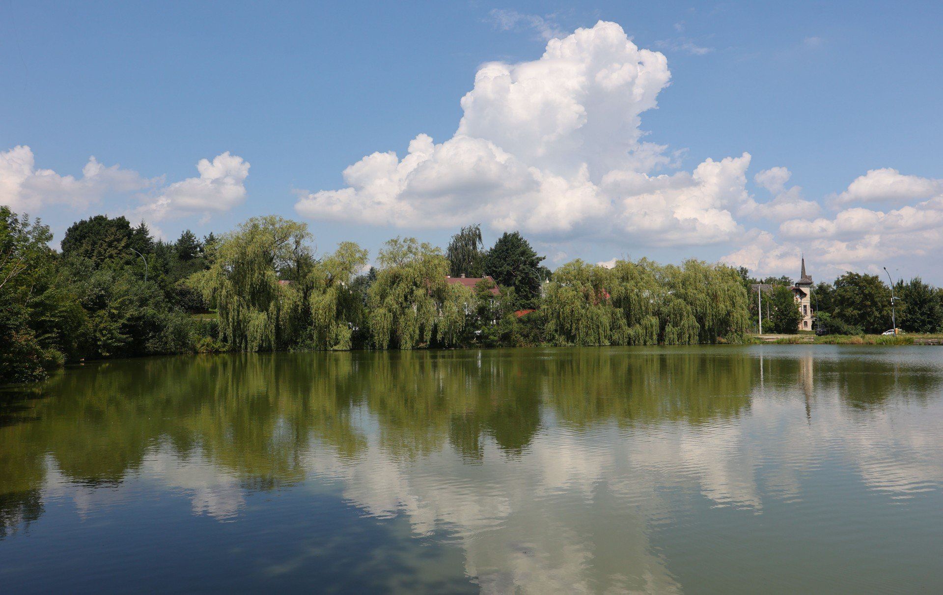 Staw Browarny ma ok. 1 ha powierzchni. Położony jest między ulicami Kraszewskiego i Cetnarskiego.