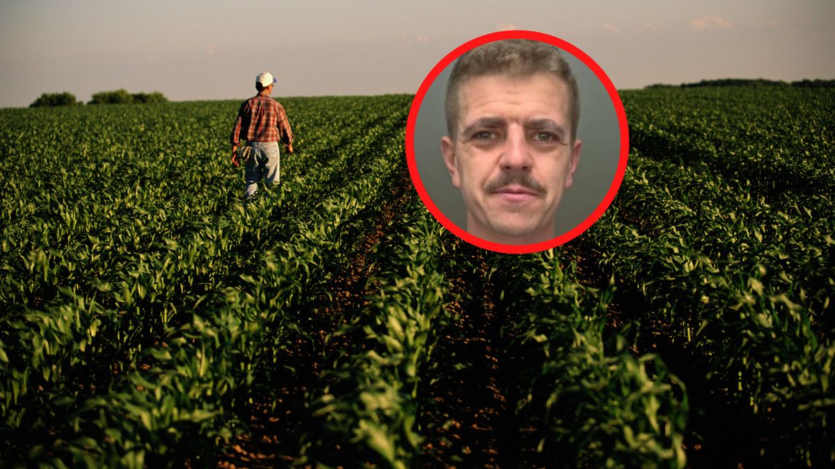 Daniel Bała mówi o ofertach pracy w Niemczech.