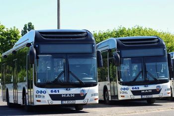 Toruń. Te linie autobusowe znikną od marca 2027 roku. Sprawdź, co je zastąpi