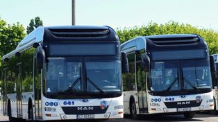 Toruń. Te linie autobusowe znikną od marca 2027 roku. Sprawdź, co je zastąpi