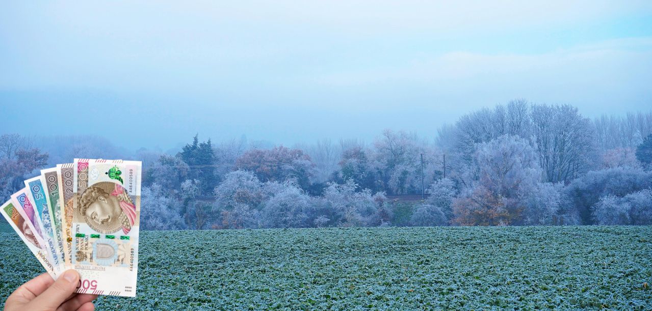 Dopłaty do ubezpieczenia upraw 2026. Czy wsparcie wzrośnie?