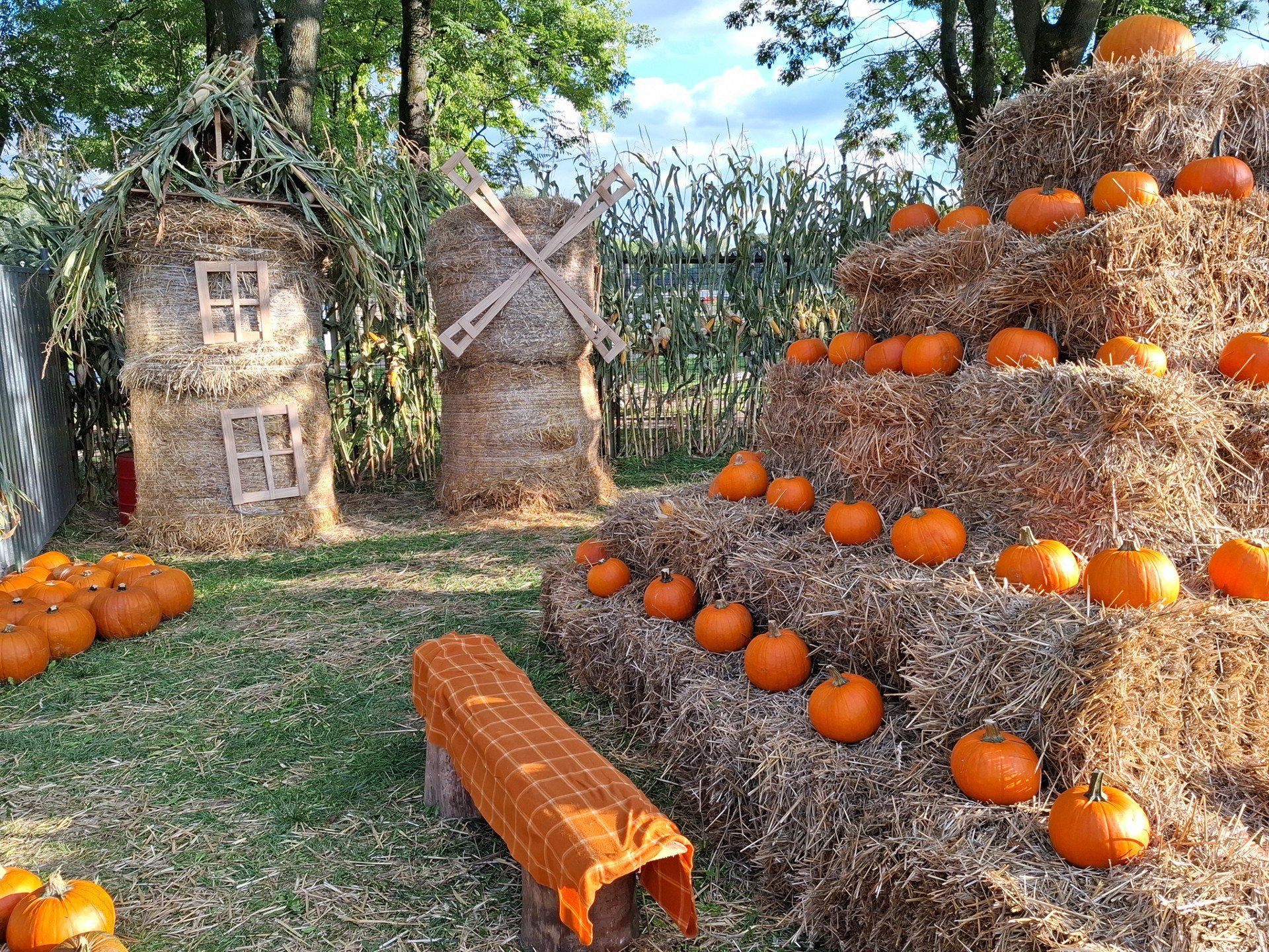 Dyniolandia nad Zalewem Nowohuckim