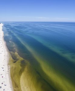 Zaatakowała mięsożerna bakteria. Jedna osoba nie żyje