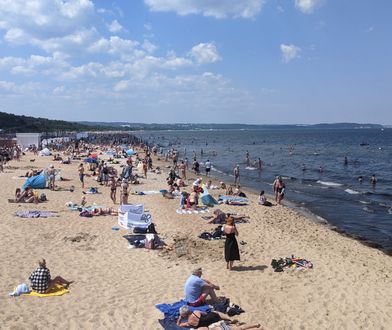 Wakacje w Gdańsku. Glony nie odstraszają turystów