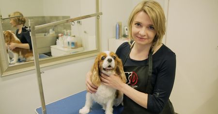 Pomysł na biznes: Profesjonalne usługi groomerskie
