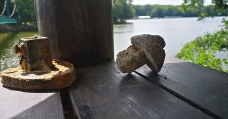 Znalazłeś niebezpieczne przedmioty? Kategorycznie ich nie ruszaj!