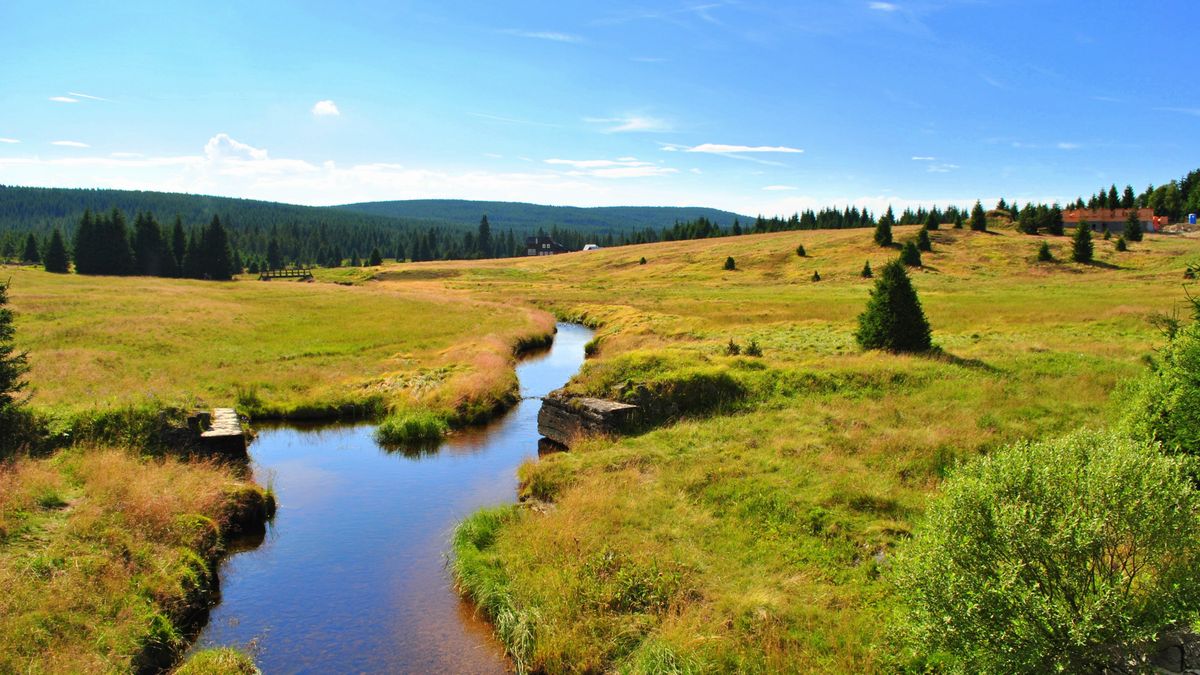 Urbanizacja terenów zalewowych