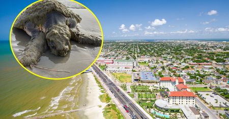 Szokujące znalezisko. Widok na plaży był przerażający