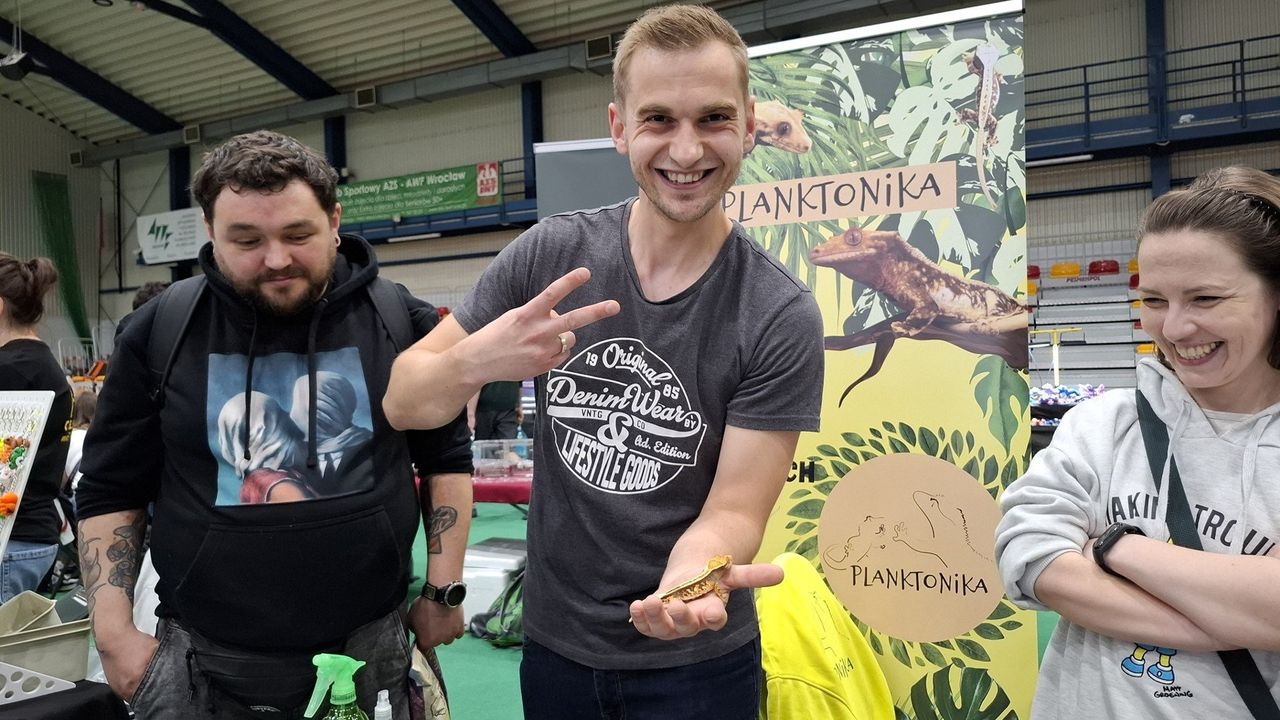 Animals Live Wrocław 2025: setki egzotycznych zwierząt, roślin i akcesoriów na targach terrarystyki i akwarystyki
