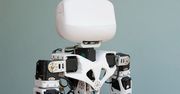 Powstała hybryda robota i myszy. Porusza się dzięki mięśniom gryzonia