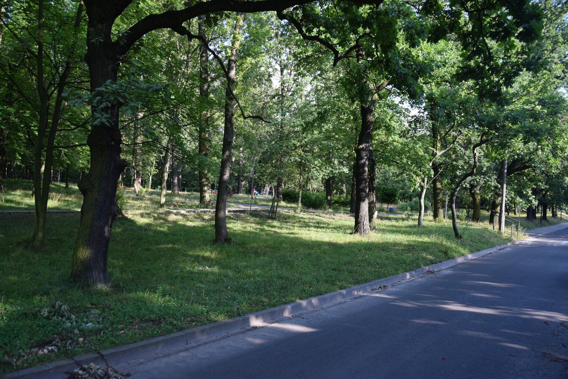 Park im. Mieszkańców Heiloo w Świętochłowicach