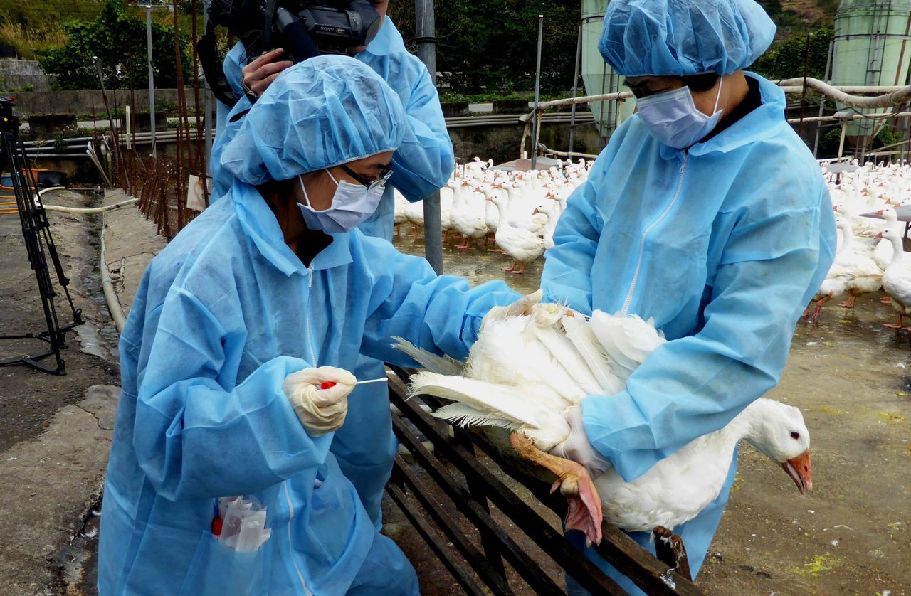 First human case of H5N2 avian flu was reported in Mexico