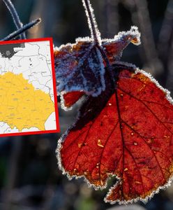 Nie tylko przymrozki. Wydano ostrzeżenia, nowa prognoza