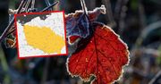 Nie tylko przymrozki. Wydano ostrzeżenia, nowa prognoza