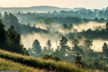 Kolejny region z bonem. Samorząd zdecydował, kiedy rusza pilotaż