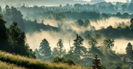 Kolejny region z bonem. Samorząd zdecydował, kiedy rusza pilotaż